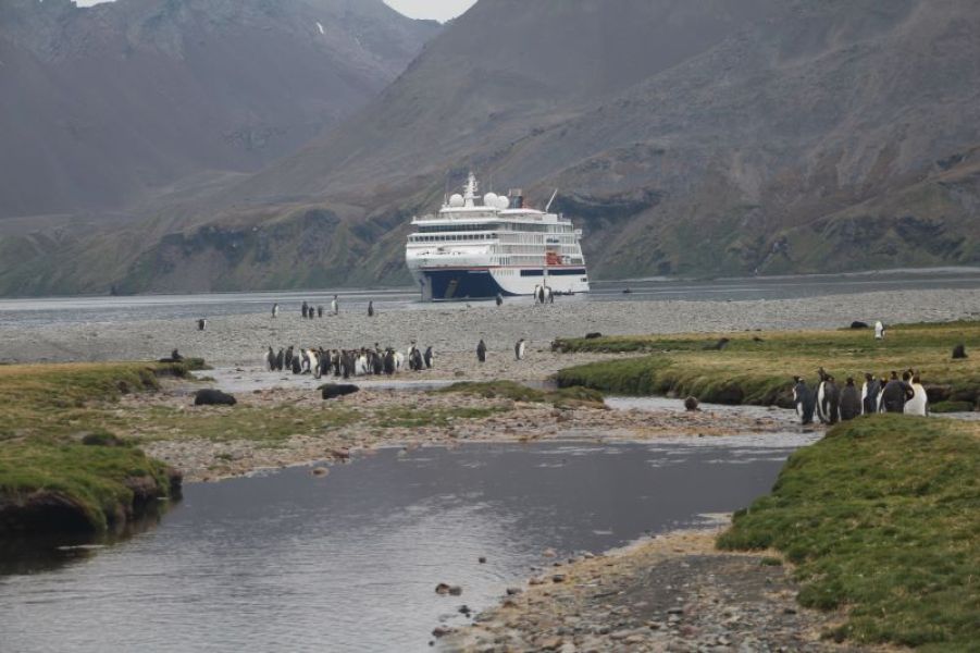 images/Cruise/Hapag%20Lloyd/Route%201%20INS2402/10.%20South%20Georgia.jpg#joomlaImage://local-images/Cruise/Hapag Lloyd/Route 1 INS2402/10. South Georgia.jpg?width=800&height=533