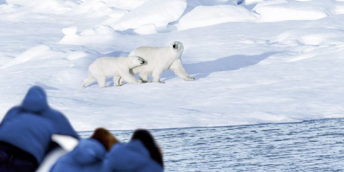 images/Cruise/Hapag%20Lloyd/ROUTE%2002%20-%20INS2412/1.%20hoofd-INS2412_2413_2414_2415.jpg#joomlaImage://local-images/Cruise/Hapag Lloyd/ROUTE 02 - INS2412/1. hoofd-INS2412_2413_2414_2415.jpg?width=800&height=400