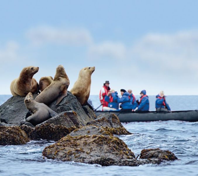images/Cruise/Hapag%20Lloyd/ROUTE%2002%20-%20INS2412/4.%20Zodiac%20zeehonden.jpg#joomlaImage://local-images/Cruise/Hapag Lloyd/ROUTE 02 - INS2412/4. Zodiac zeehonden.jpg?width=800&height=709